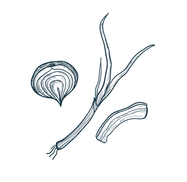Decorative image