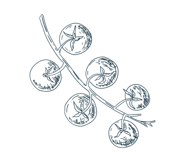 Decorative image